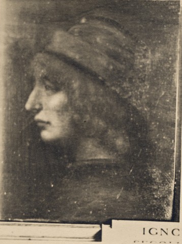 Anonimo — Leonardo da Vinci - ambito - sec. XVI - Testa d'uomo di profilo — insieme